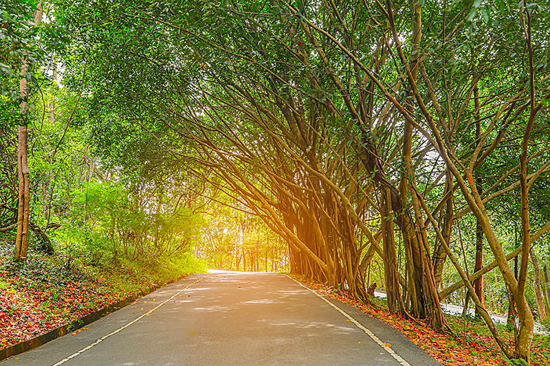 สวนพฤกษศาสตร์พุแค สถานที่ถ่ายทำหงสาวดี