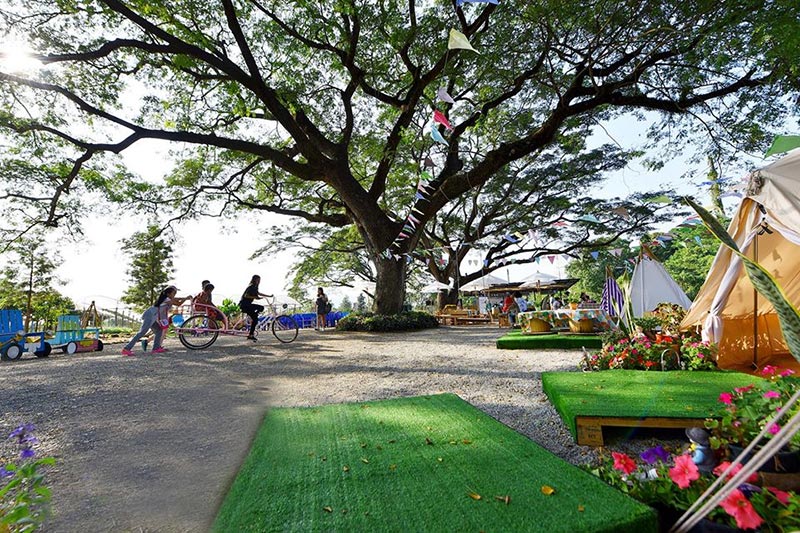 Mulberry Fest’ 2019 ไร่กำนันจุล