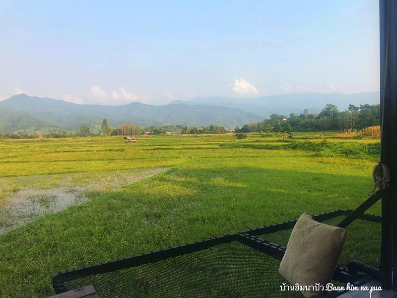 ที่พักวิวทุ่งนา