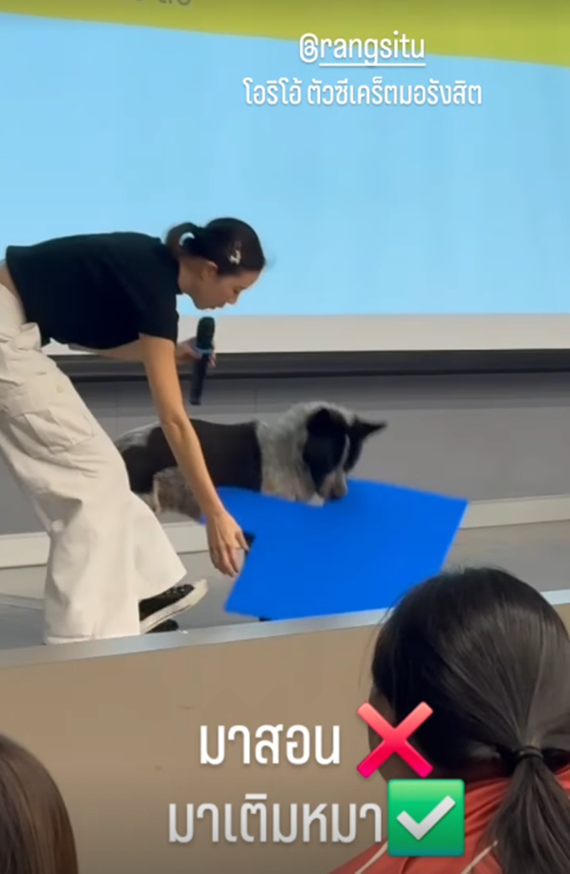 คริส หอวัง