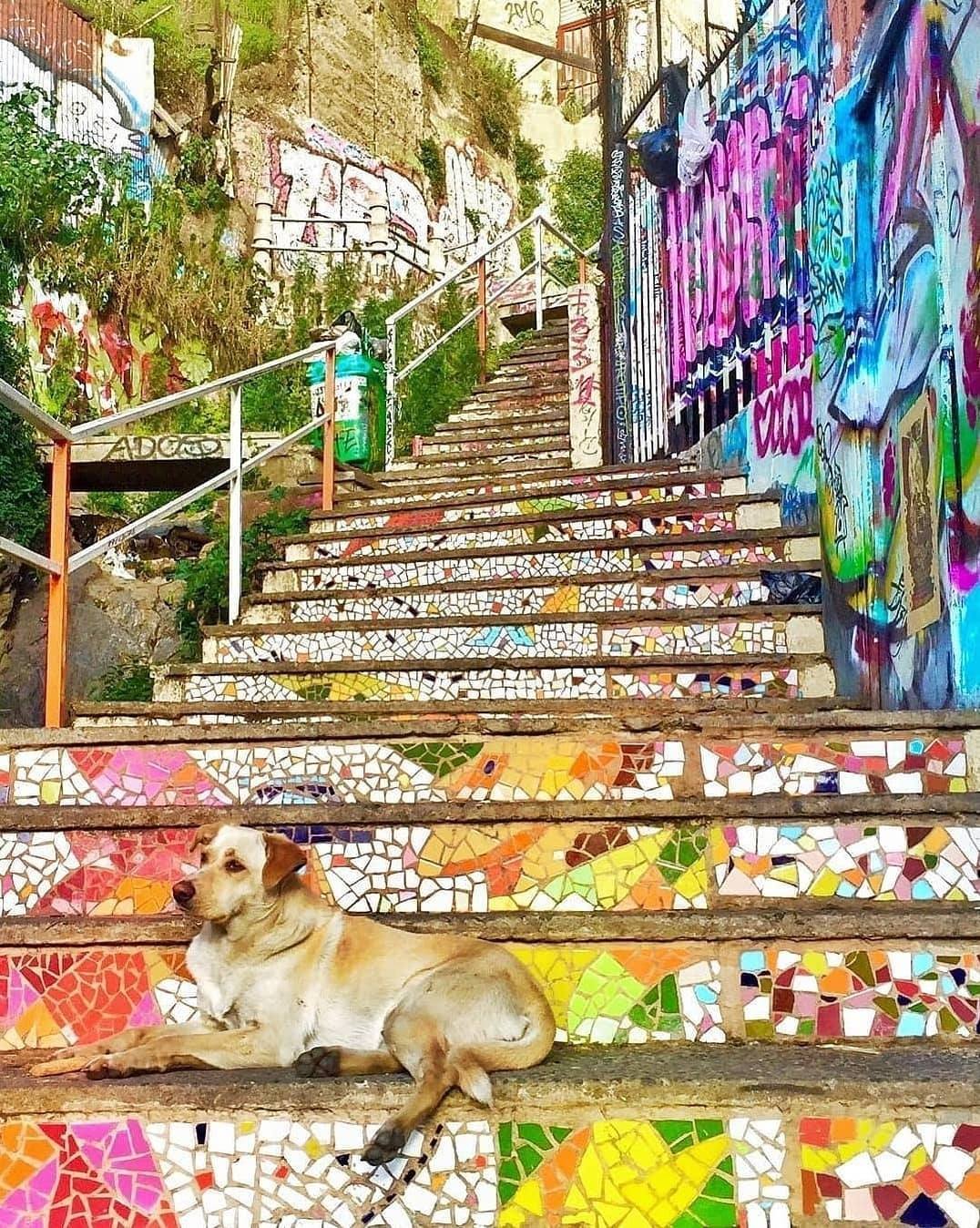 บัลปาราอีโซ ชิลี