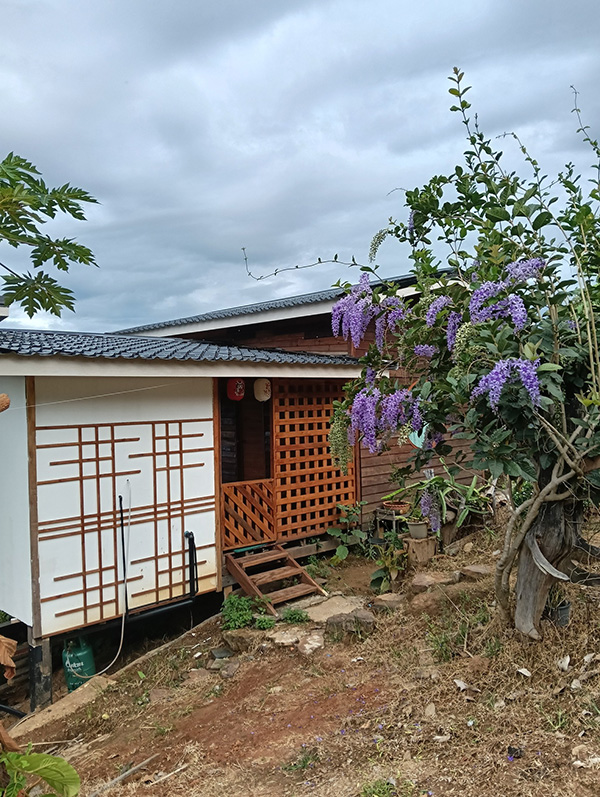 ที่พักหน้าหนาว 2568 ลา-คำวัน โฮมสเตย์