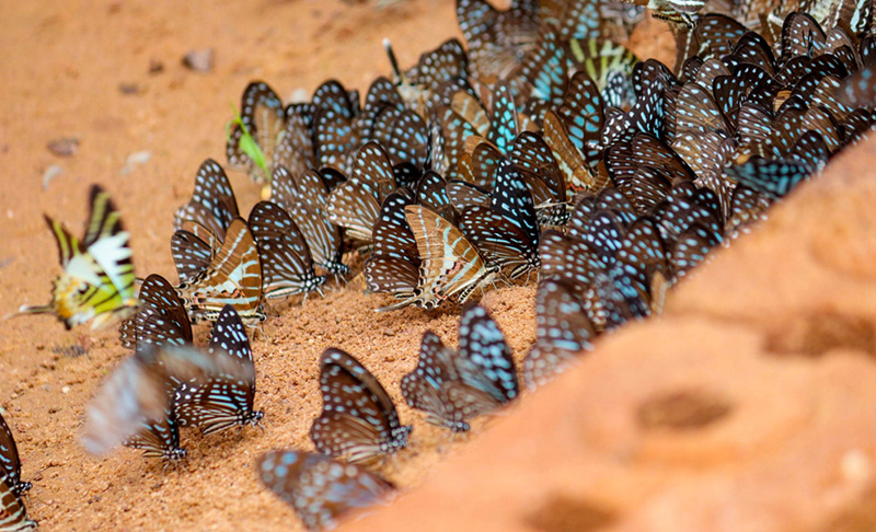 เที่ยวเดือนกรกฎาคม 66