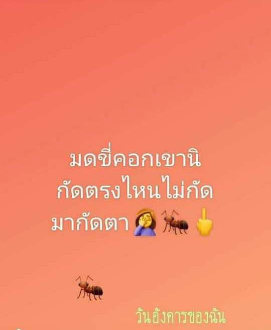 โพสต์สตอรี่