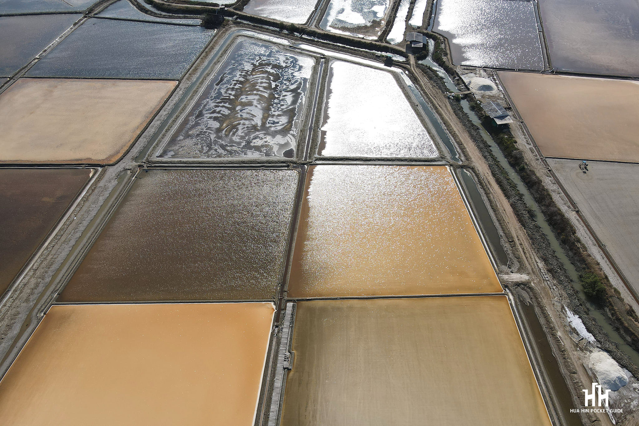 นาเกลือ