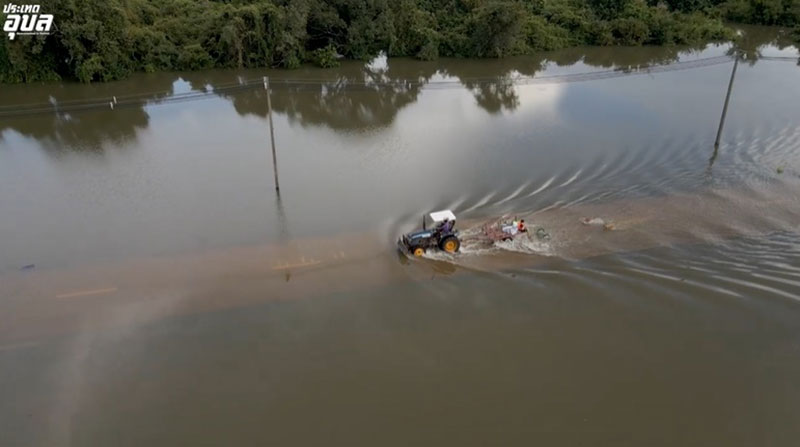 หมาท่ากก