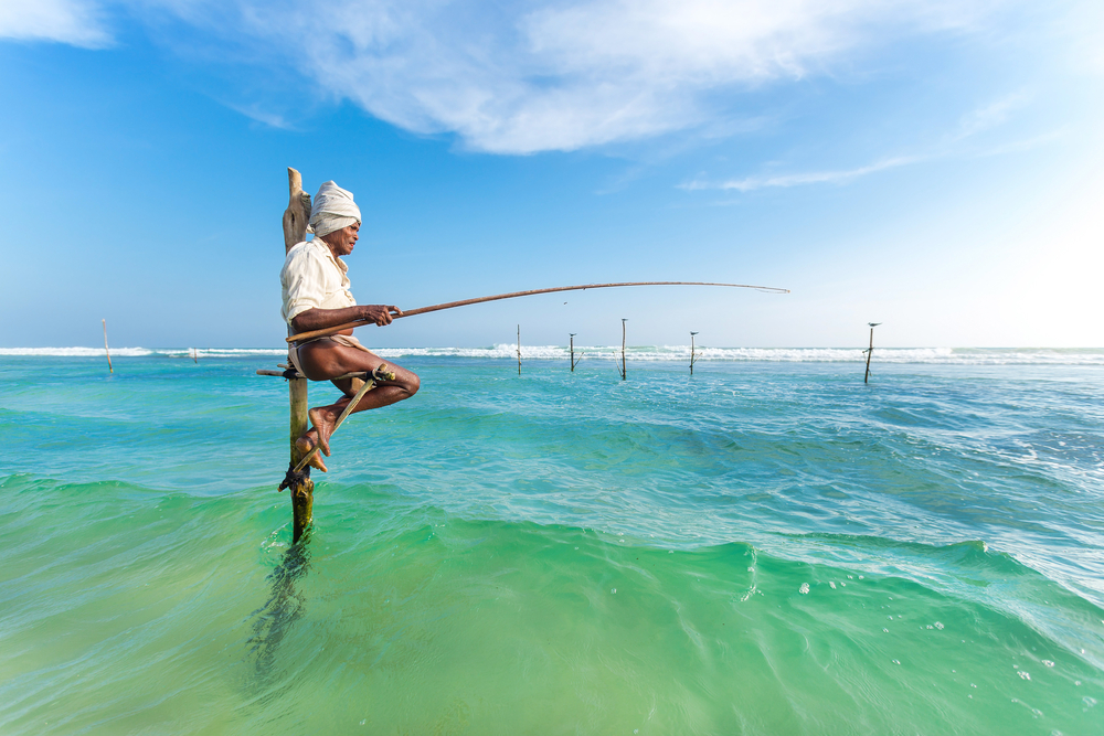 ตกปลาบนไม้ค้ำ