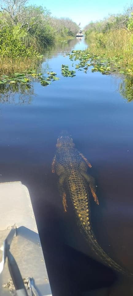 ตกปลาในคลอง