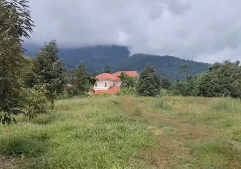 นก จริยา สวนทุเรียน