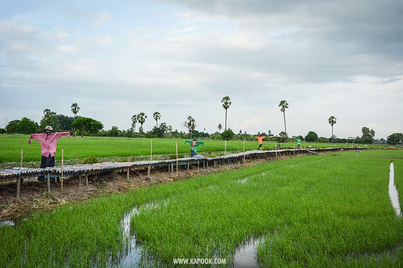 เที่ยวสุพรรณบุรี