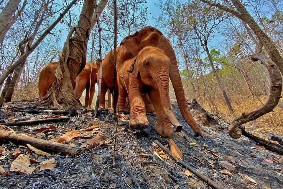 ไฟไหม้ป่าเชียงใหม่