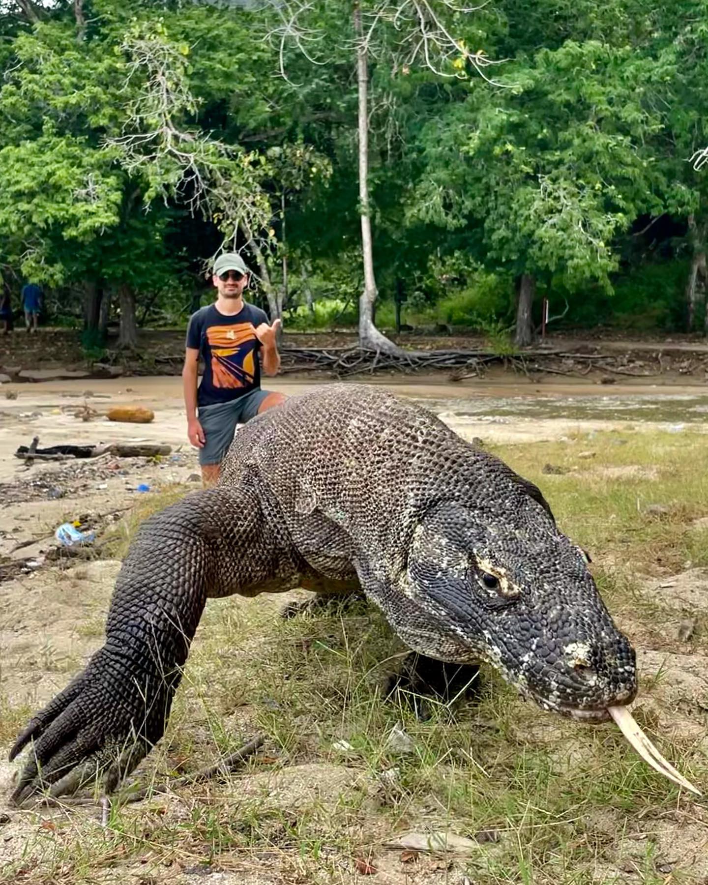 มังกรโคโมโดยักษ์