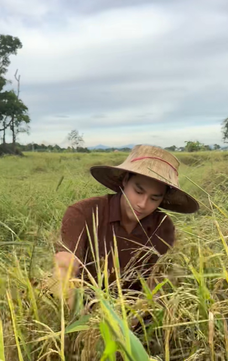 เพ็ชร ฐกฤต