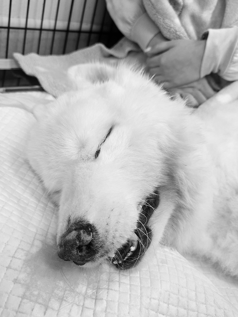 บุ๋ม ปนัดดา