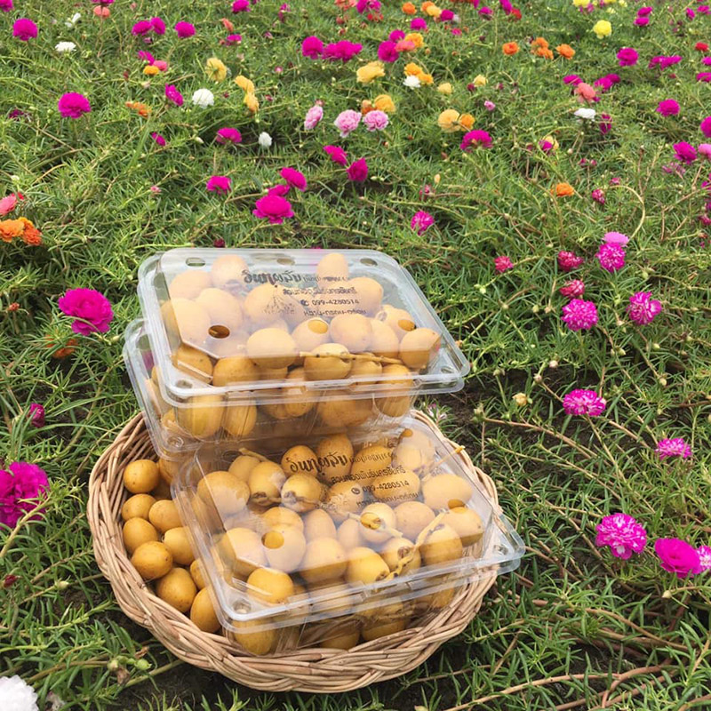 สวนอินทผลัม เดลิเวอรี่