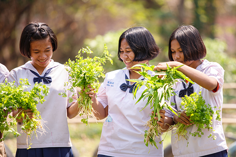 โรงเรียน CONNEXT ED