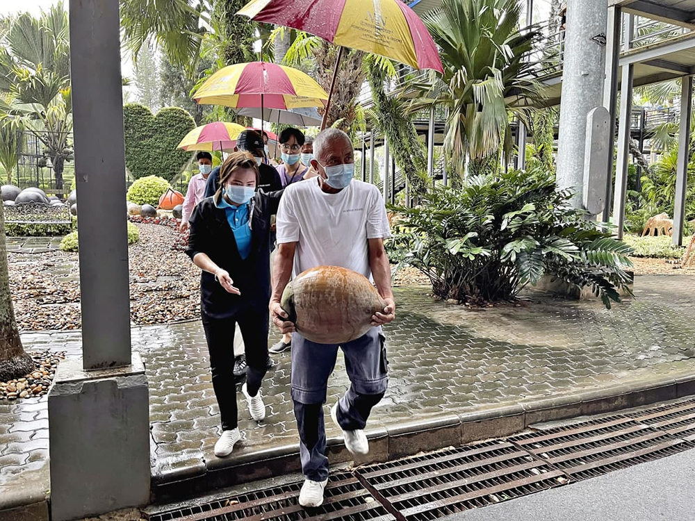 สวนนงนุช พัทยา