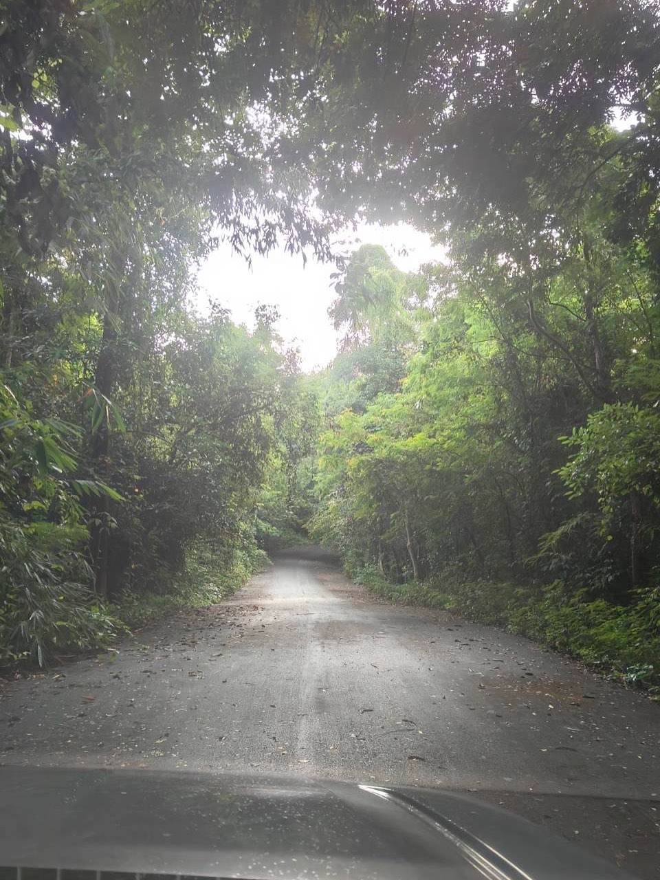 เวียร์ ศุกลวัฒน์ พาวิกกี้ น้องวิริน ไปพักผ่อนที่บ้านสวน