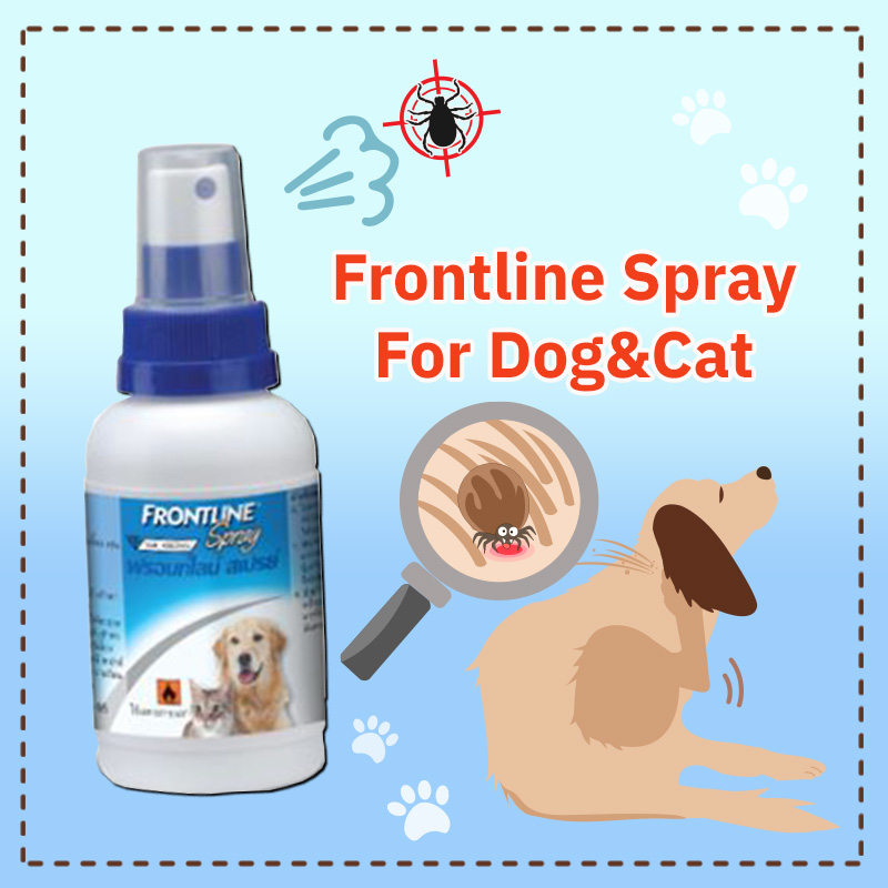 สเปรย์กำจัดเห็บหมัด