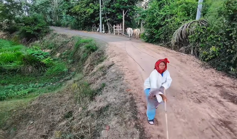 โดรนบิน