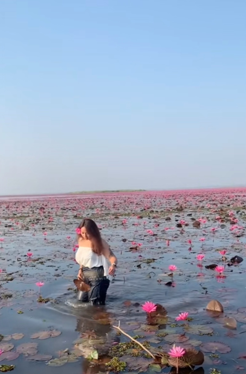 ทะเลบัวแดง