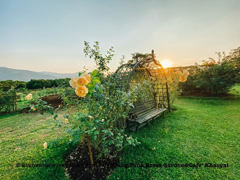 สวนดอกไม้เขาใหญ่