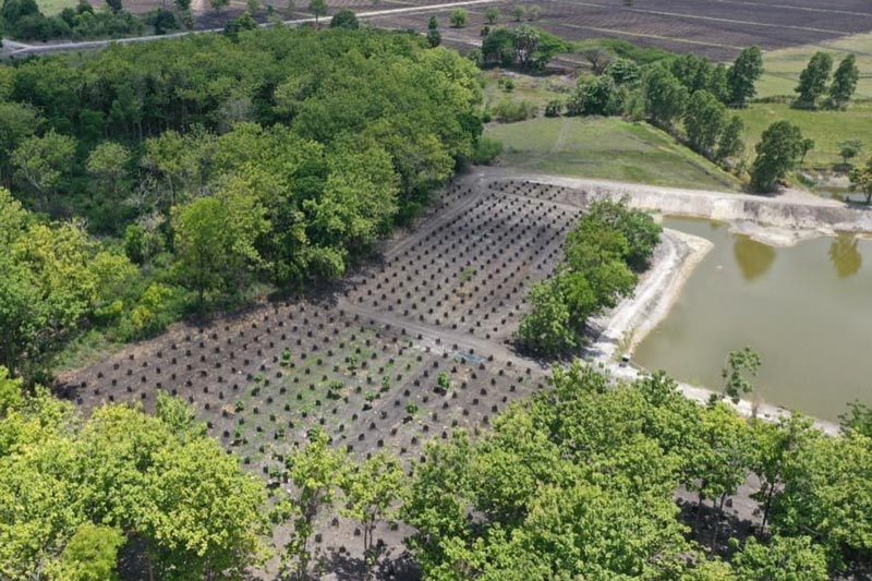 ตั๊ก บงกช