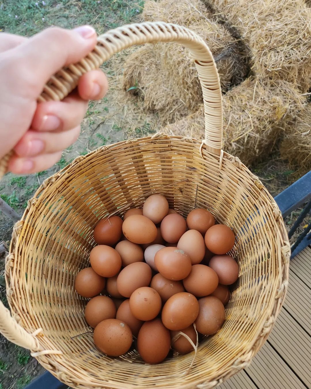 ชมพู่ อารยา