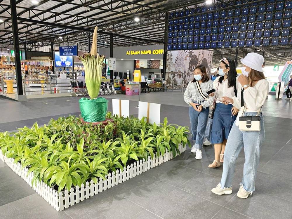 สวนนงนุช