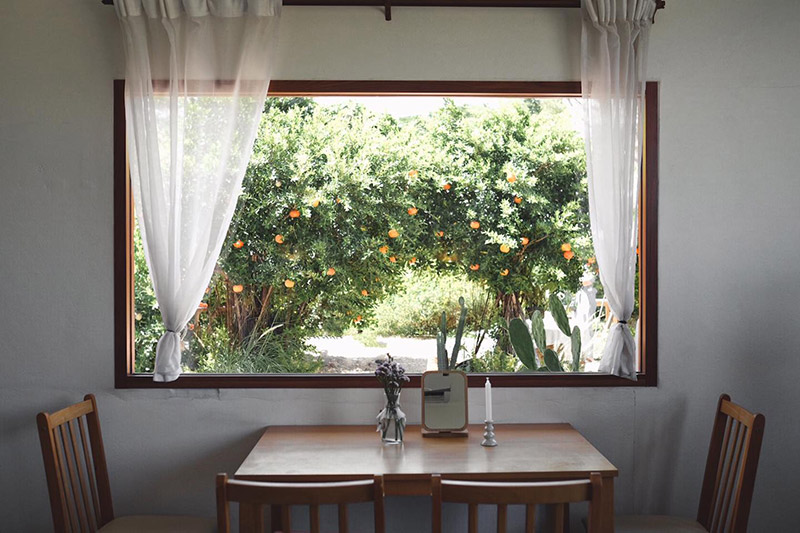 ร้านคาเฟ่สวนผลไม้