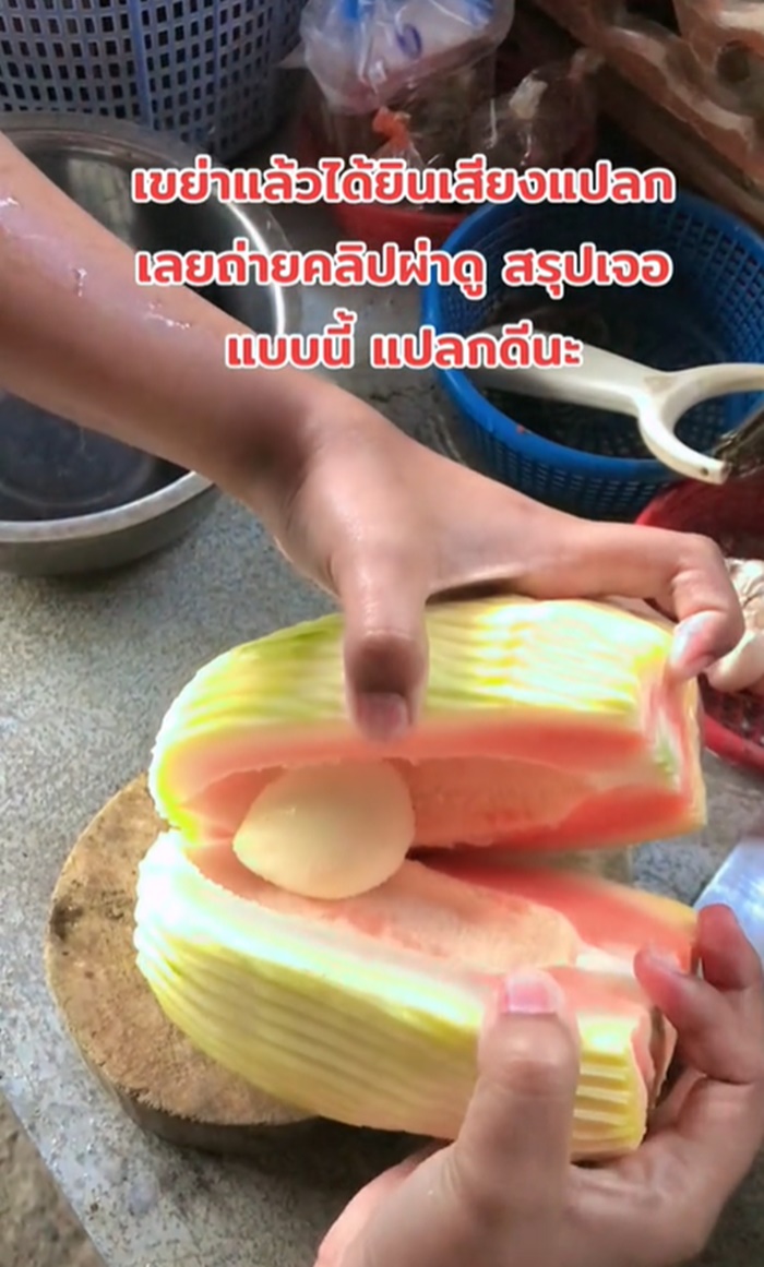 ผ่ามะละกอ