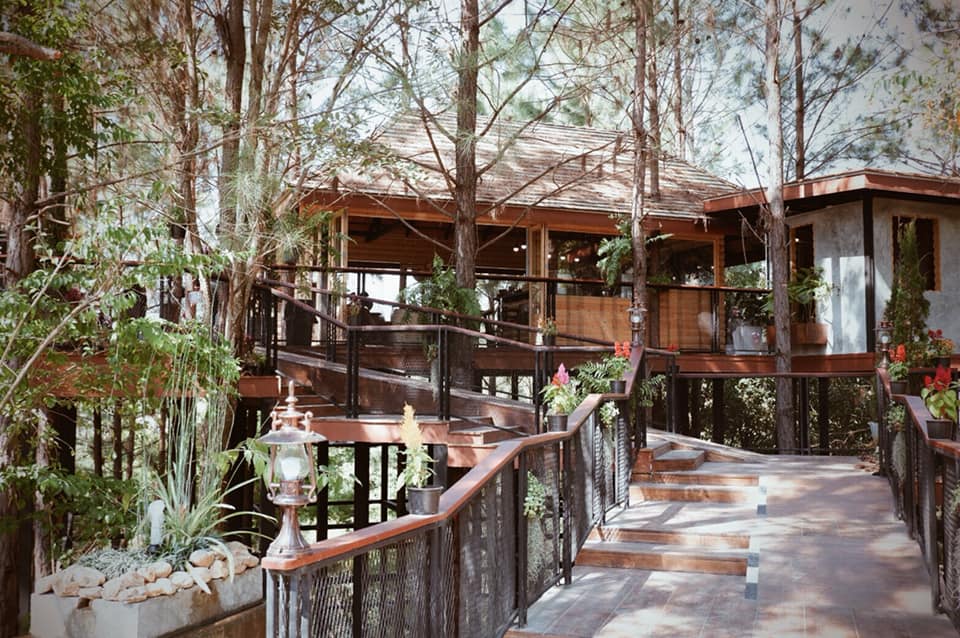 ร้านคาเฟ่เขาค้อ 2563