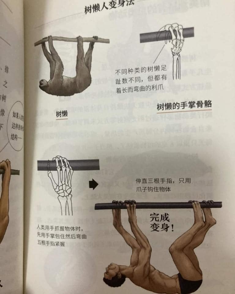 หนังสือเรียน