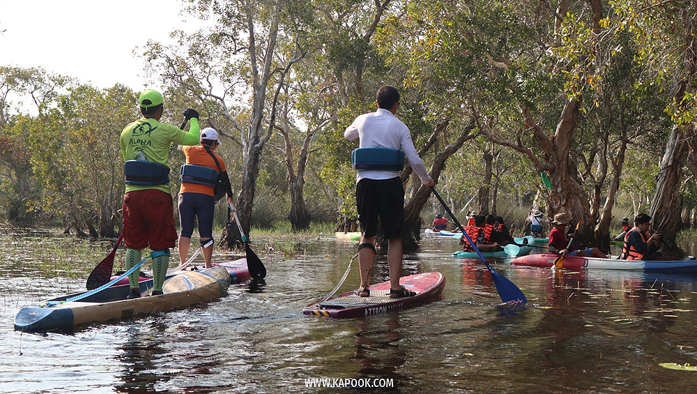 เที่ยวระยอง