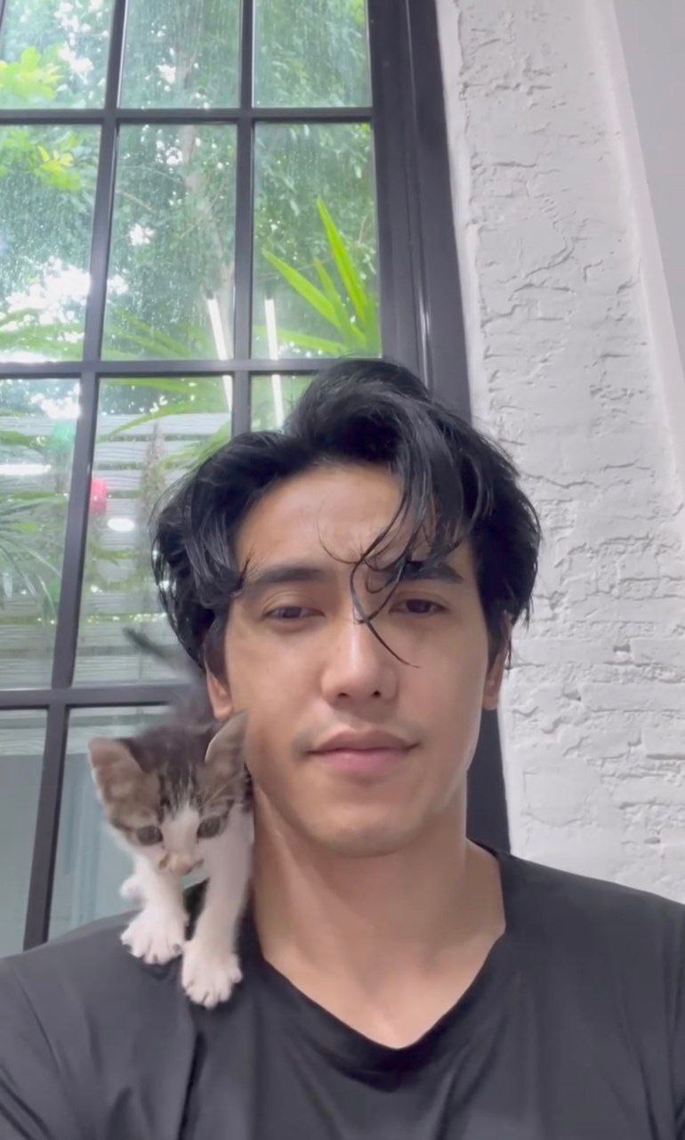 ก๊อต จิรายุ แมว
