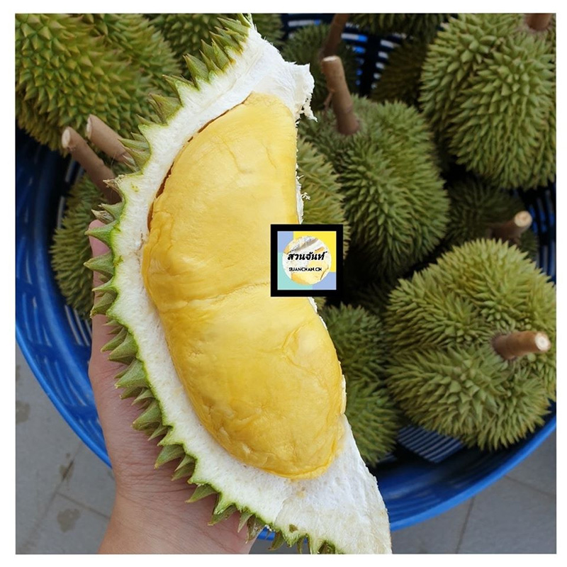สั่งทุเรียนเดลิเวอรี่