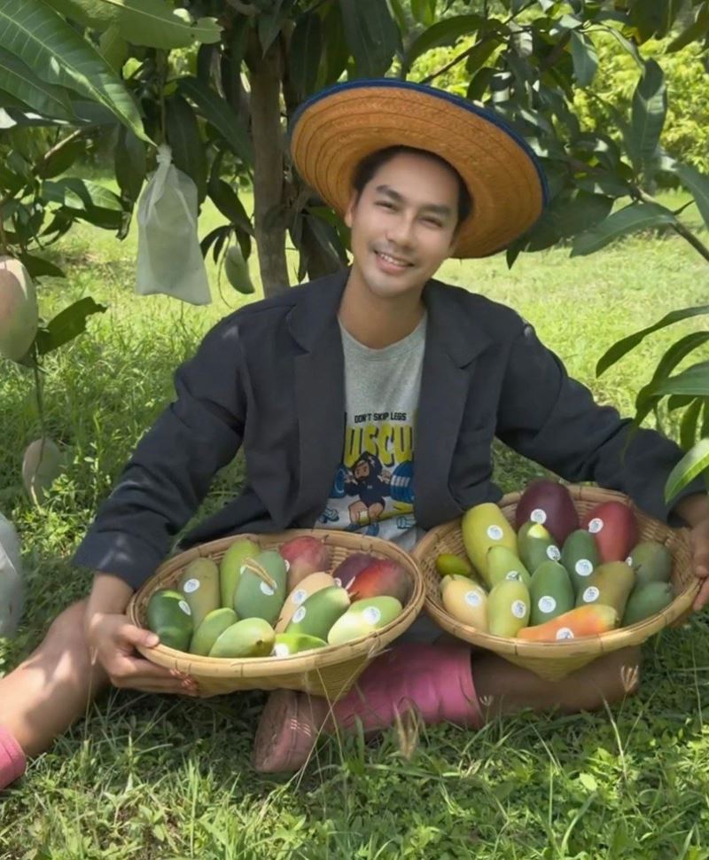เพ็ชร ฐกฤต หลังผันตัวทำสวน เก็บมะม่วงขาย