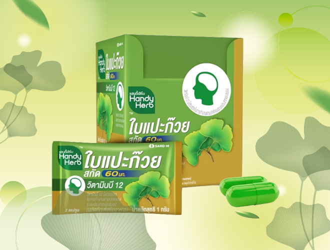 HandyHerb ใบแปะก๊วยสกัด