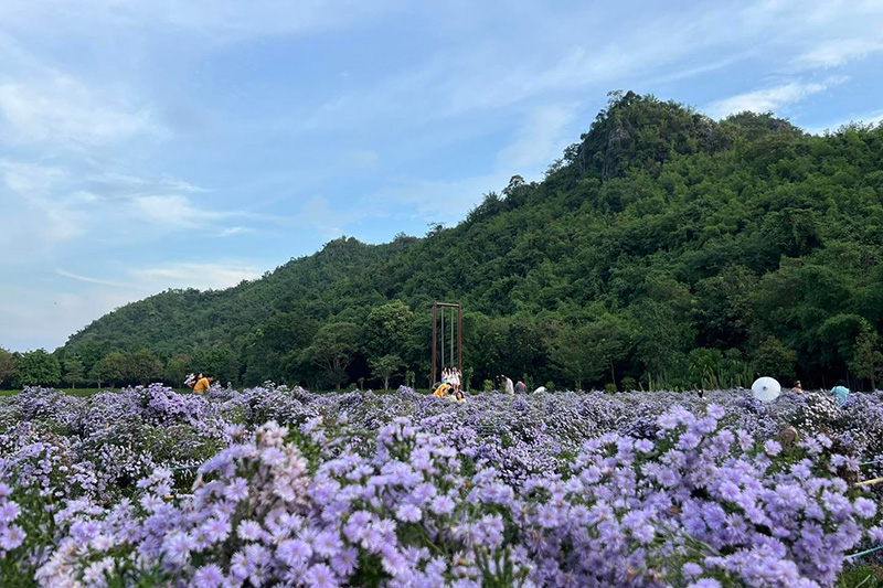 สวนดอกไม้