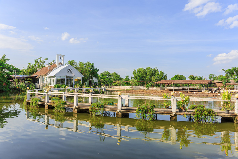 Mini Murrah Farm จังหวัดฉะเชิงเทรา