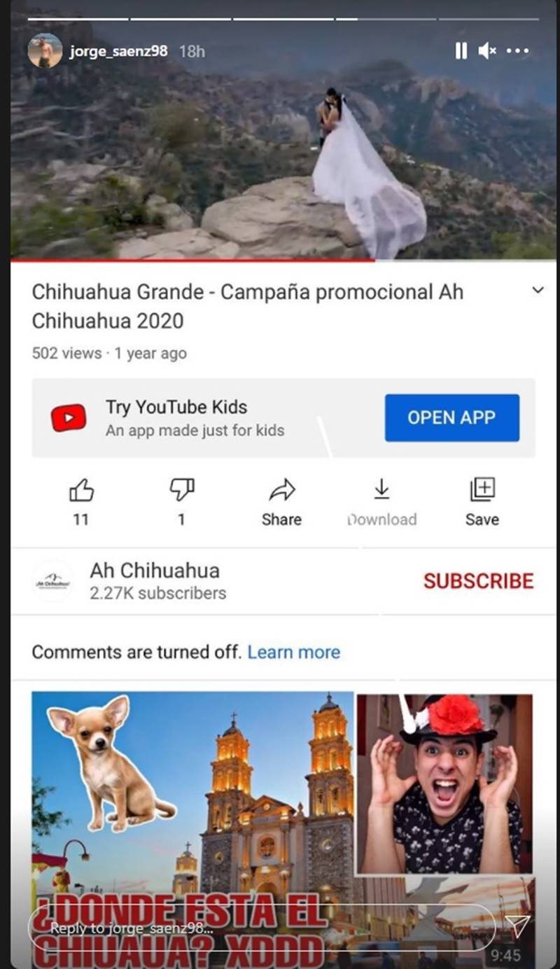 Andrea Meza, มิสยูนิเวิร์ส