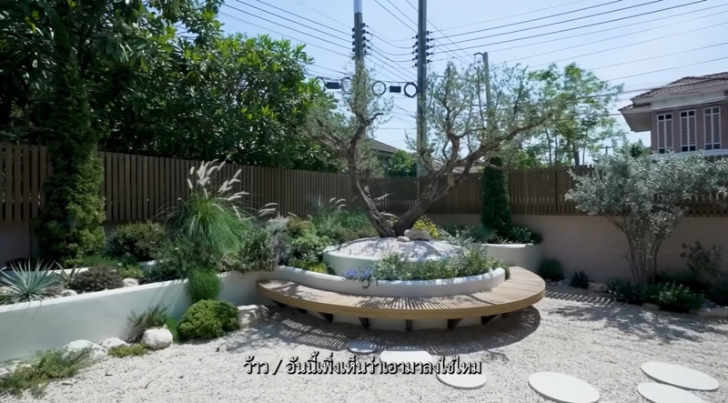 บ้าน ซี เอมี่ ต้นมะกอก