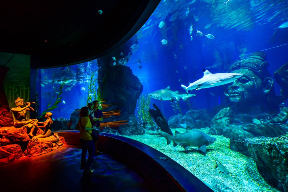 Sea Life Bangkok Ocean World ที่เที่ยววาเลนไทน์