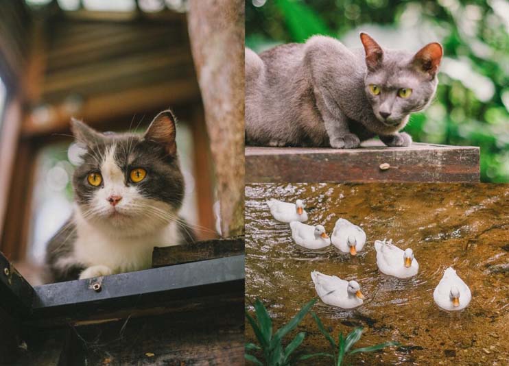 ที่เที่ยวระนอง