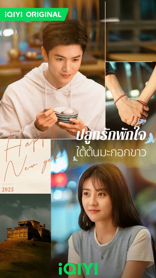 ปลูกรักพักใจใต้ต้นมะกอกขาว The White Olive Tree นักแสดง