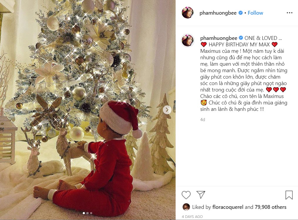 ฟาม เฮือง  มิสเวียดนาม 201