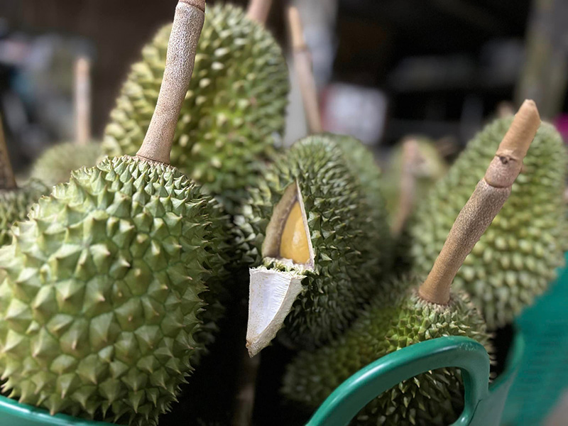 บุฟเฟต์ทุเรียน ทุเรียน