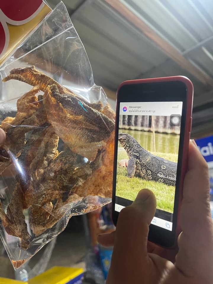 หนังปลาทอดกรอบ