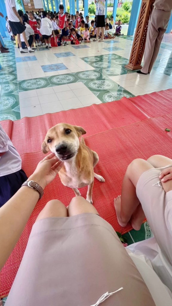 พิธีไหว้ครู