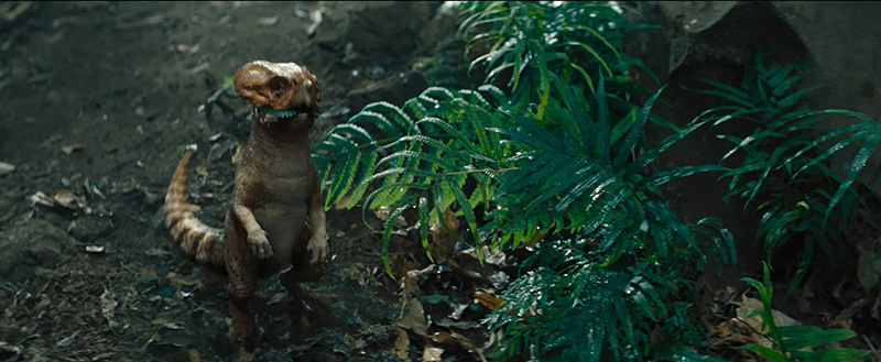 หนัง jurassic world rebirth ไดโนเสาร์ Aquilops